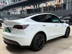 Tesla Model Y Rear-Wheel Drive - ფოტო 8
