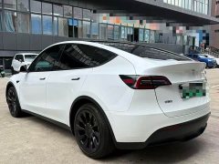 Tesla Model Y Rear-Wheel Drive - ფოტო 9