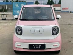 FAW Besturn Xiaoma 222km Lightning Edition - ფოტო 12