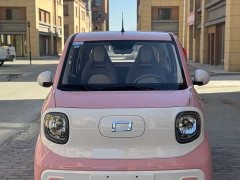 FAW Besturn Xiaoma 222km Lightning Edition - ფოტო 2