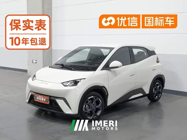 BYD Seagull 305km Freedom Edition
