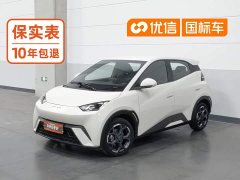 BYD Seagull 305km Freedom Edition - ფოტო 1