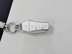 BYD Seagull 305km Freedom Edition - ფოტო 19