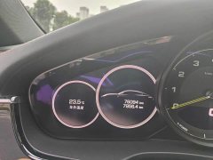Porsche Panamera New Energy Panamera 4 E-Hybrid 2.9T - ფოტო 15