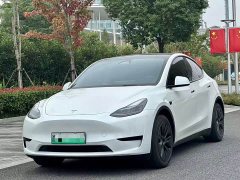 Tesla Model Y Rear-Wheel Drive - ფოტო 1