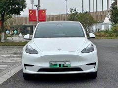 Tesla Model Y Rear-Wheel Drive - ფოტო 2
