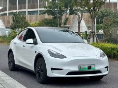 Tesla Model Y Rear-Wheel Drive - ფოტო 3