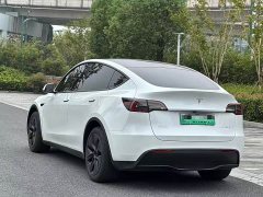 Tesla Model Y Rear-Wheel Drive - ფოტო 4