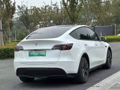 Tesla Model Y Rear-Wheel Drive - ფოტო 6