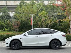 Tesla Model Y Rear-Wheel Drive - ფოტო 7