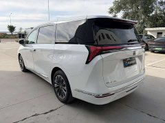 Buick GL8 Luxurious Edition Advance Enjoyment Version - ფოტო 14