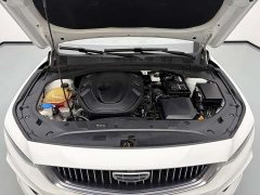 Geely Xingrui 2.0T Diesel Luxury - ფოტო 18
