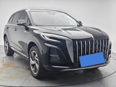 FAW Red Flag HS3 PHEV 125km Jingwei 2 Million Units Anniversary Edition - ფოტო 3