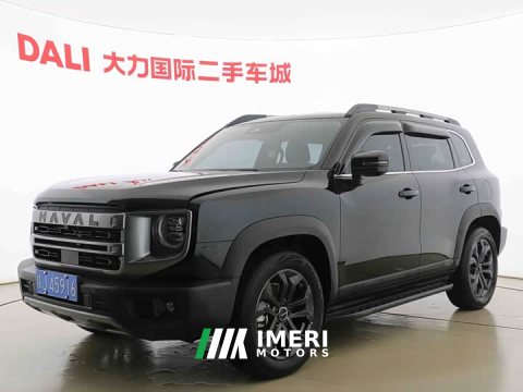2024 Great Wall Dachshund 1.5T DCT Labrador Edition - ავტომობილი ჩინეთიდან