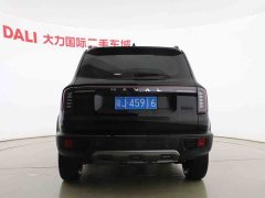Great Wall Dachshund 1.5T DCT Labrador Edition - ფოტო 14