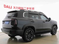Great Wall Dachshund 1.5T DCT Labrador Edition - ფოტო 16