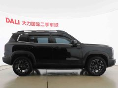 Great Wall Dachshund 1.5T DCT Labrador Edition - ფოტო 4