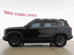 Great Wall Dachshund 1.5T DCT Labrador Edition - ფოტო 5