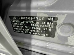 Tank 300 2.0T Wind Forest Iron Cavalry - ფოტო 12