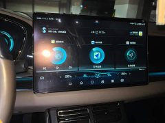 BYD Han DM AWD Performance Luxury - ფოტო 13