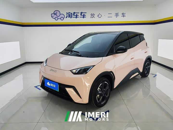 BYD Seagull Glory Edition 405km Flying Edition