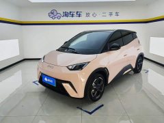BYD Seagull Glory Edition 405km Flying Edition - ფოტო 1