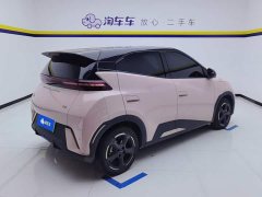 BYD Seagull Glory Edition 405km Flying Edition - ფოტო 3
