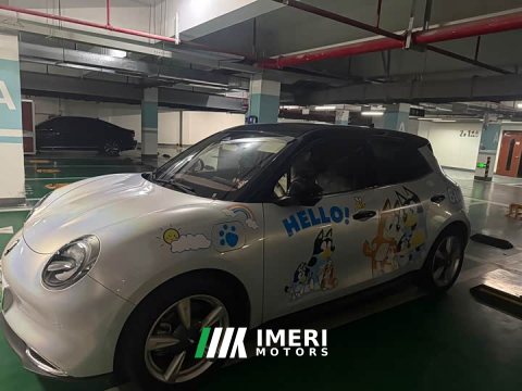 2024 ORA Good Cat 401km Standard Range Deluxe Edition LFP Battery - ავტომობილი ჩინეთიდან