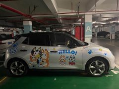 ORA Good Cat 401km Standard Range Deluxe Edition LFP Battery - ფოტო 2