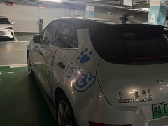 ORA Good Cat 401km Standard Range Deluxe Edition LFP Battery - ფოტო 3
