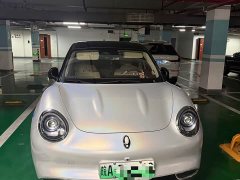 ORA Good Cat 401km Standard Range Deluxe Edition LFP Battery - ფოტო 4