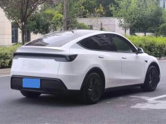 Tesla Model Y Rear-Wheel Drive - ფოტო 5