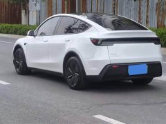 Tesla Model Y Rear-Wheel Drive - ფოტო 7