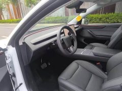 Tesla Model Y Rear-Wheel Drive - ფოტო 9