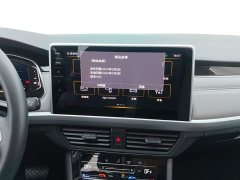 Volkswagen Bora 300TSI DSG Respect Edition - ფოტო 13