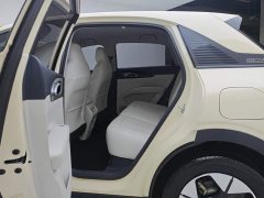 Geely Xing Yuan 310km Dream Edition - ფოტო 11