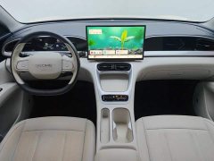 Geely Xing Yuan 310km Dream Edition - ფოტო 12