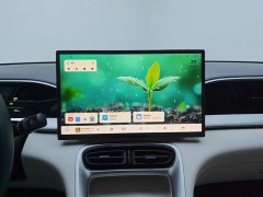 Geely Xing Yuan 310km Dream Edition - ფოტო 13