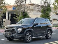 Great Wall Dachshund 1.5T DCT Two-Wheel Drive Malinois Hunting Edition - ფოტო 1