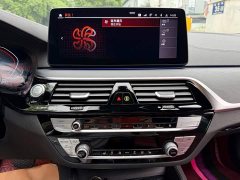BMW 5 Series Facelift 530Li Premier M Sport Package - ფოტო 10