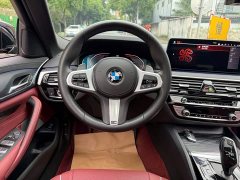BMW 5 Series Facelift 530Li Premier M Sport Package - ფოტო 14