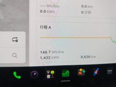 Tesla Model Y L Long Range All-Wheel Drive - ფოტო 14