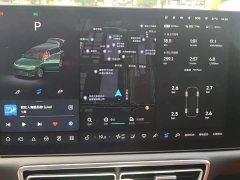 Li Auto L9 Max - ფოტო 14