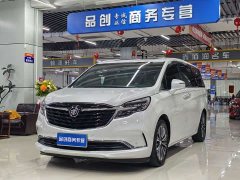 Buick GL8 ES Land Respect 653T Luxury - ფოტო 1
