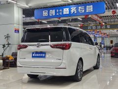 Buick GL8 ES Land Respect 653T Luxury - ფოტო 7