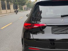 Mercedes-Benz GLC 300 L 4MATIC Dynamic 5-Seater - ფოტო 14