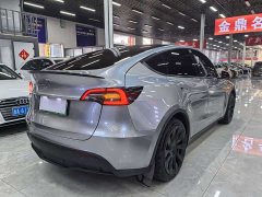 Tesla Model Y Long Range All-Wheel Drive - ფოტო 9