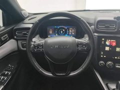 Lynk & Co 03 1.5T DCT Jìn Champion Edition - ფოტო 15