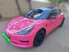 Tesla Model 3 Rear-Wheel Drive - фото 1