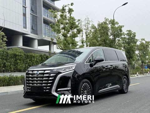 2023 Denza D9 DM-i 970 AWD Flagship - ავტომობილი ჩინეთიდან
